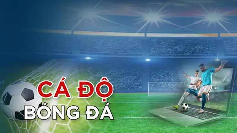 Top 12 Trang Cá Độ Bóng Đá Uy Tín Và Các Yếu Tố Đánh Giá