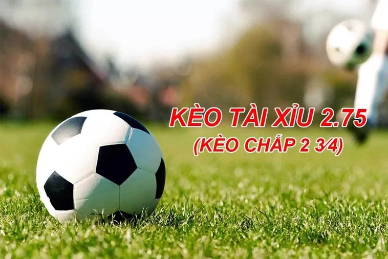 Cách Soi Kèo 2.75 Chính Xác Giúp Anh Em Thu Lợi Nhuận Khủng