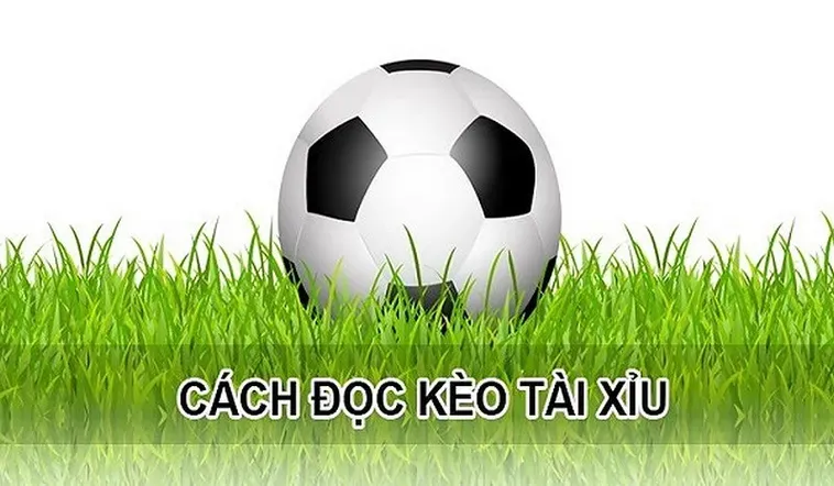 Hướng Dẫn Cách Soi Kèo Tài Xỉu Chính Xác Giúp Anh Em Thắng Lớn