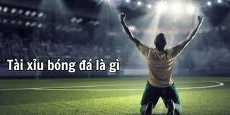 Hướng Dẫn Cách Soi Kèo Tài Xỉu Chính Xác Giúp Anh Em Thắng Lớn