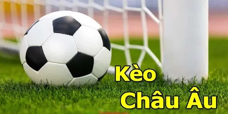 Hướng Dẫn Cách Soi Kèo Châu Âu Hiệu Quả Nhất Cho Người Mới