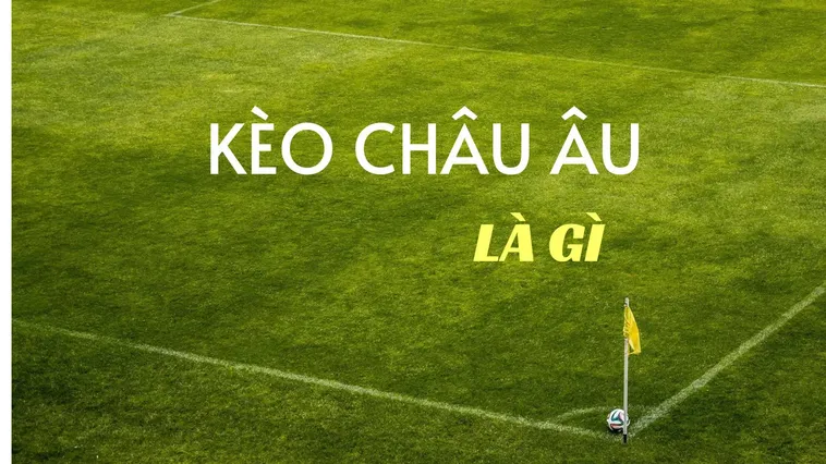 Hướng Dẫn Cách Soi Kèo Châu Âu Hiệu Quả Nhất Cho Người Mới