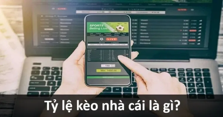 Hướng Dẫn Cách Soi Kèo Bóng Đá Chính Xác Giúp Anh Em Thắng Lớn
