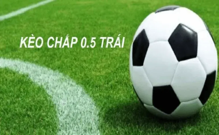 Tìm Hiểu Cách Đọc Kèo Chấp 0.5 Để Luôn Giành Chiến Thắng Lớn