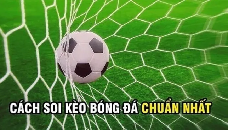 Bí Quyết Soi Kèo Rung Trong Bóng Đá Giúp Anh Em Về Bờ Cực Nhanh